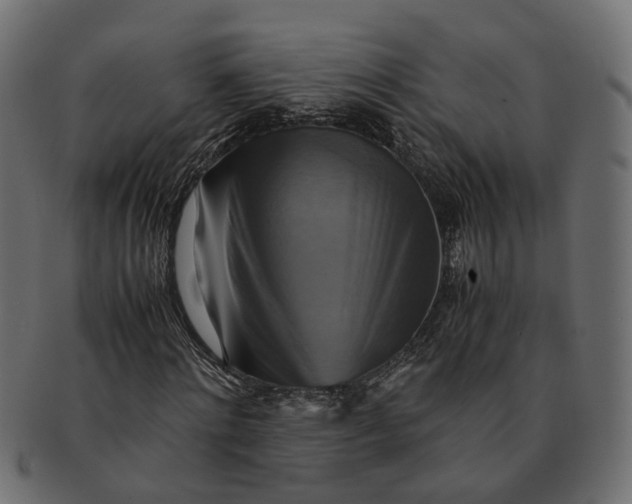 X0000091540868200709071102