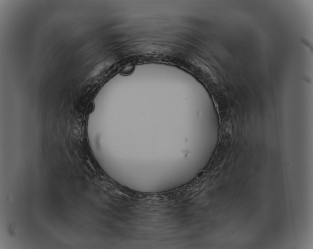 X0000091540869200709071102