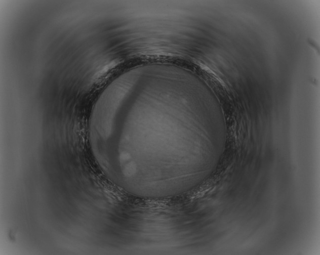 X0000091540870200709071102