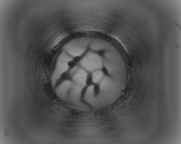 X0000091540871200709071102