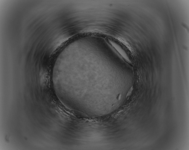 X0000091540872200709071102