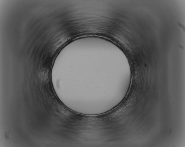 X0000091540873200709071102