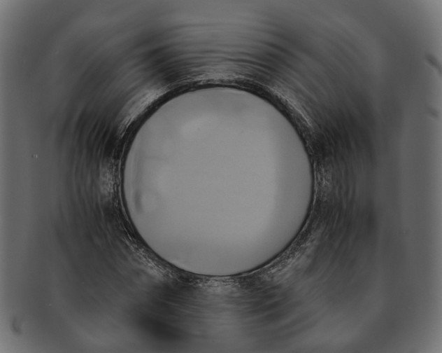 X0000091540874200709071102