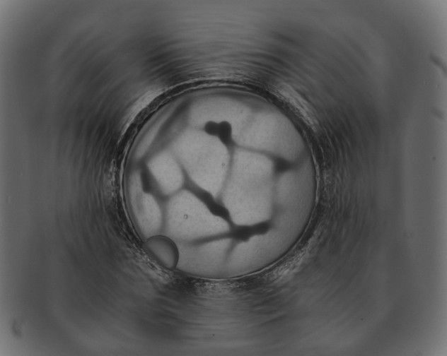 X0000091540875200709071102