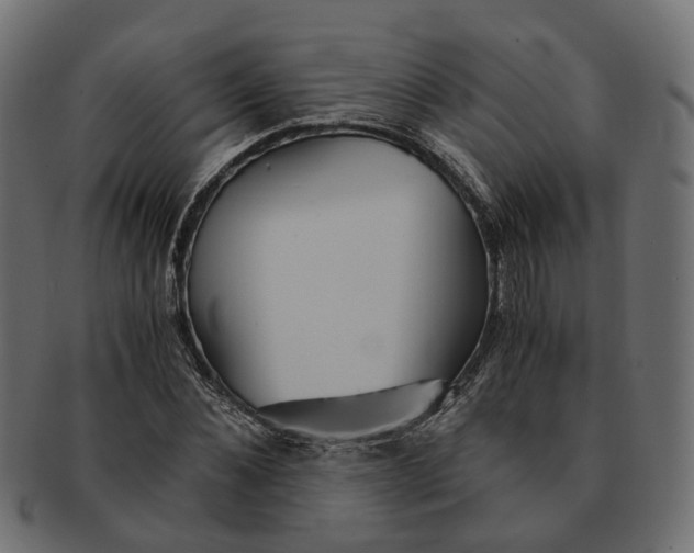 X0000091540876200709071102