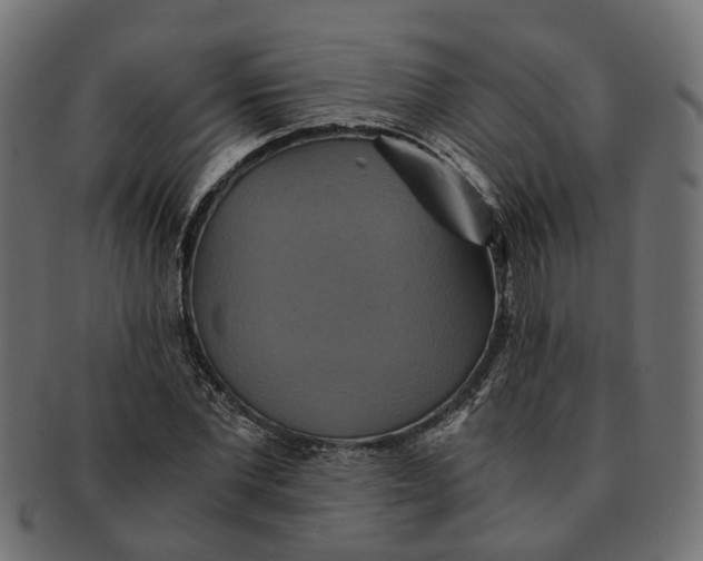 X0000091540877200709071102