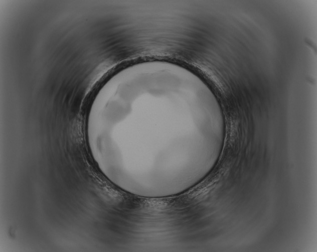 X0000091540878200709071102