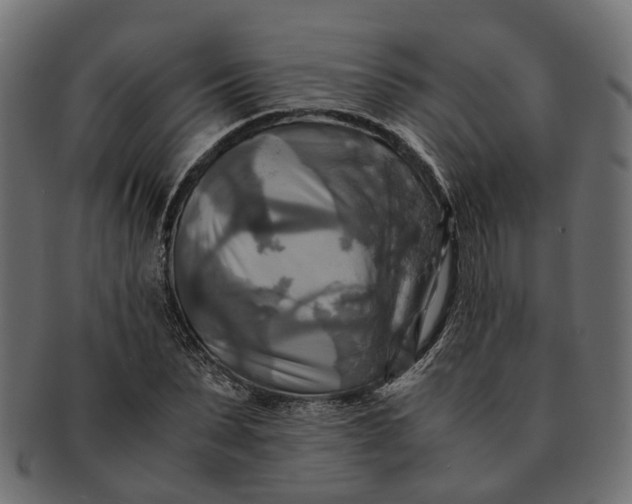 X0000091540879200709071102