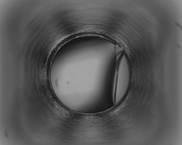 X0000091540880200709071102