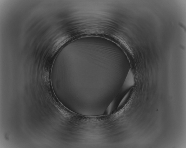 X0000091540881200709071102