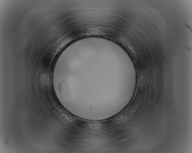 X0000091540882200709071102