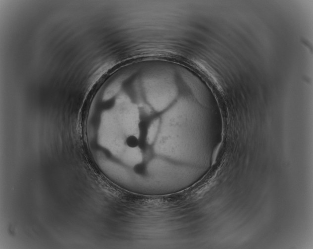 X0000091540883200709071102