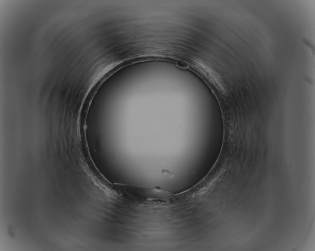 X0000091540884200709071102