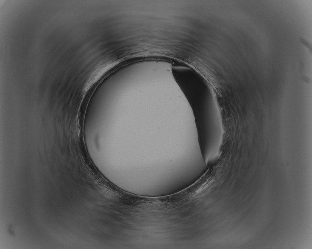 X0000091540885200709071102