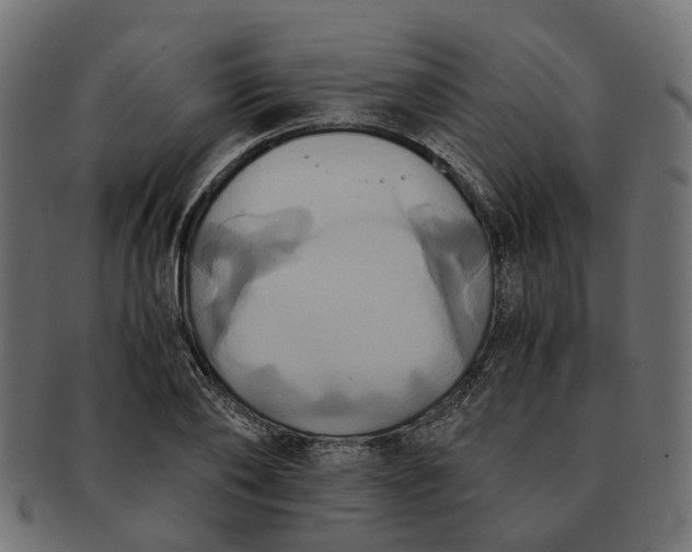 X0000091540886200709071101