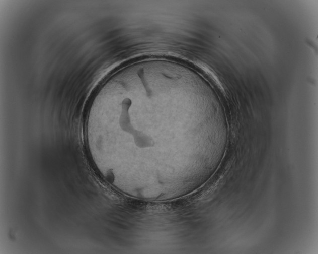 X0000091540887200709071101