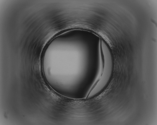 X0000091540888200709071101