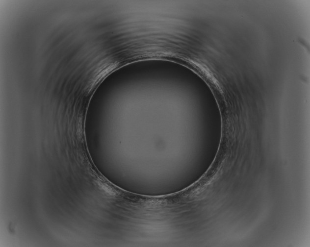 X0000091540889200709071101