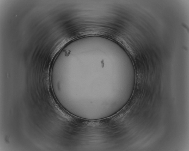 X0000091540890200709071101