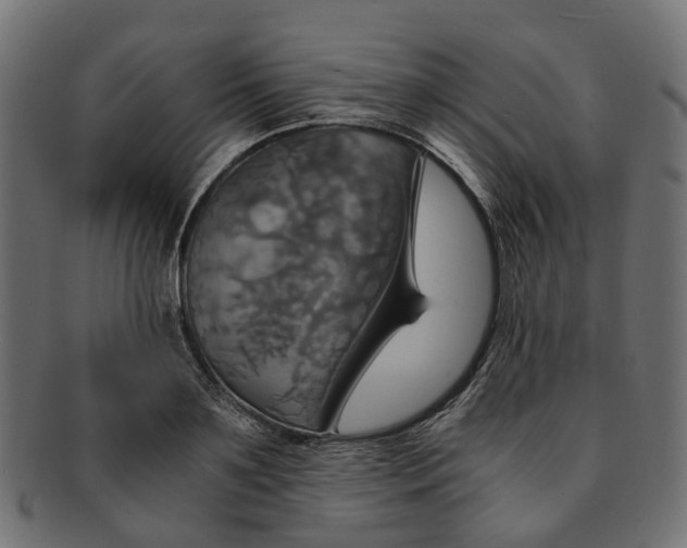 X0000091540891200709071101