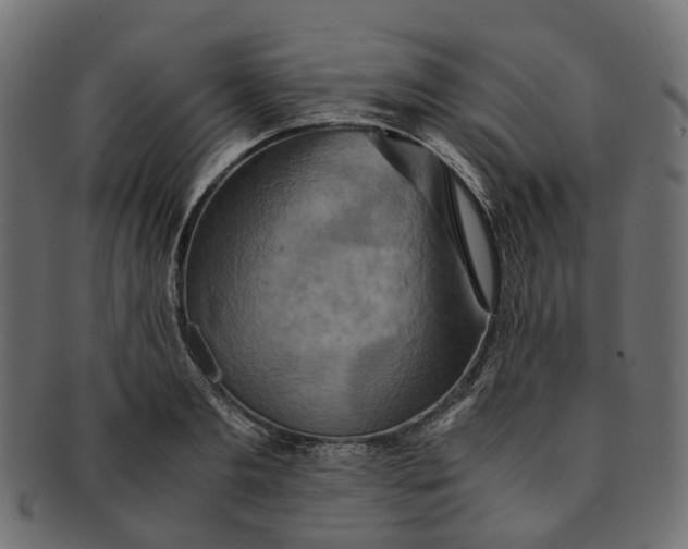 X0000091540893200709071101