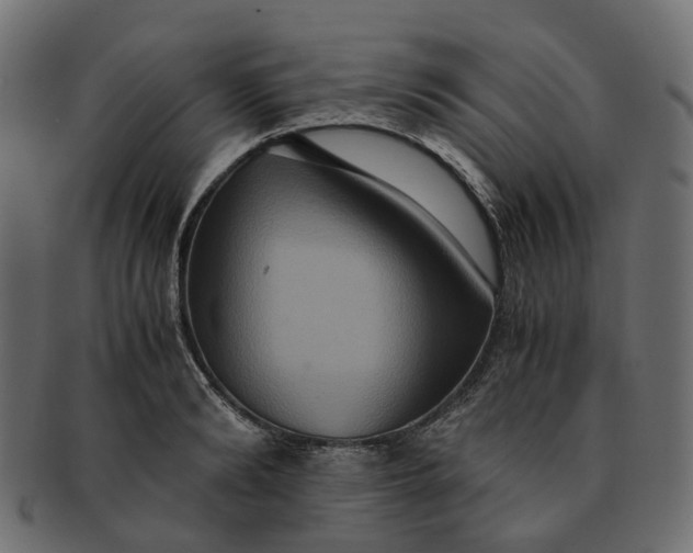 X0000091540894200709071101