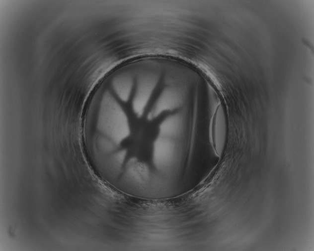 X0000091540895200709071101