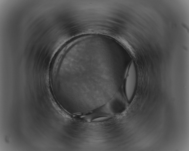 X0000091540896200709071101