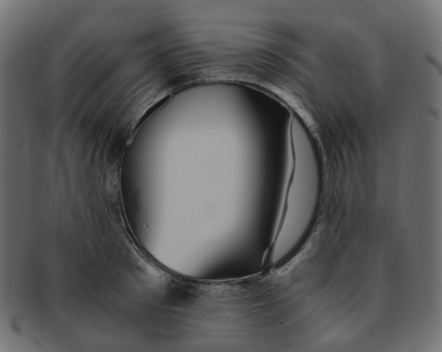 X0000091540897200709071101