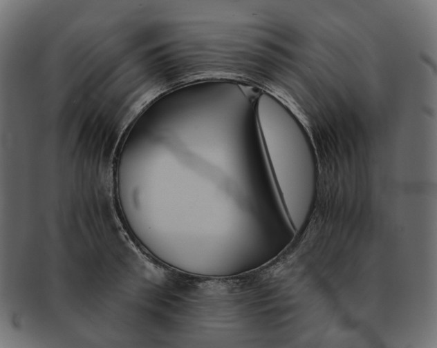 X0000091540898200709071101