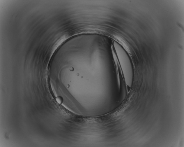 X0000091540899200709071101