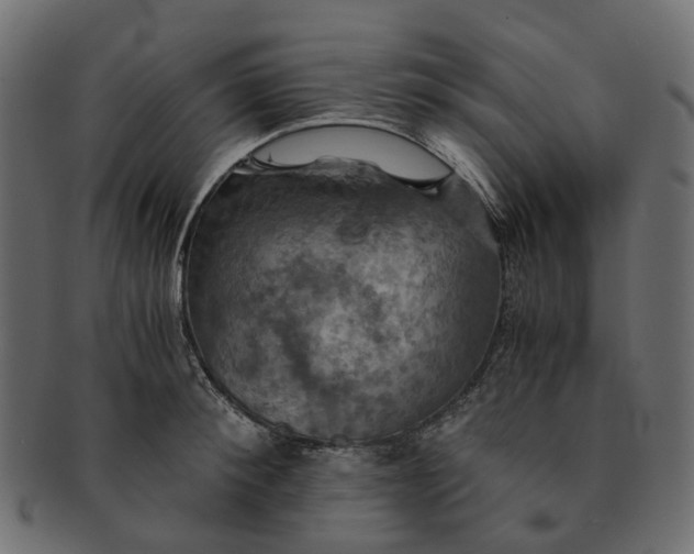 X0000091540900200709071101