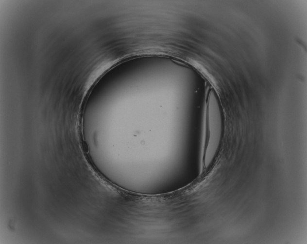 X0000091540901200709071101