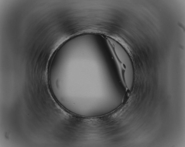 X0000091540902200709071101