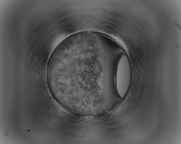 X0000091540903200709071101