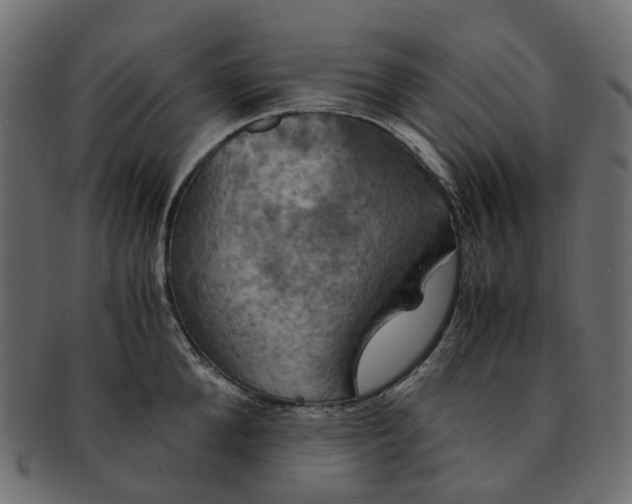 X0000091540904200709071101