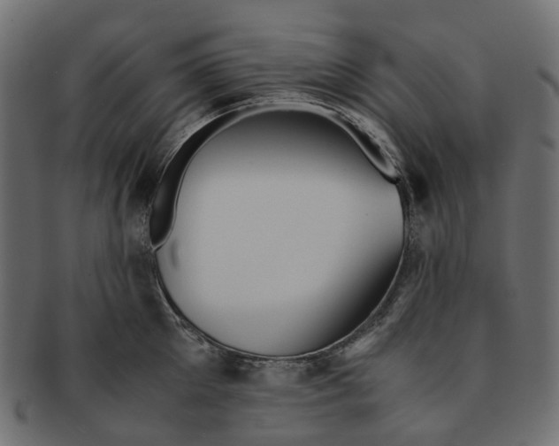 X0000091540905200709071101