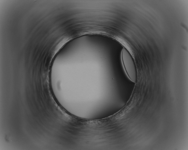 X0000091540906200709071101