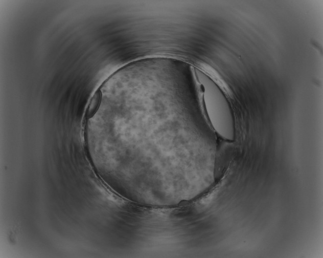 X0000091540908200709071101