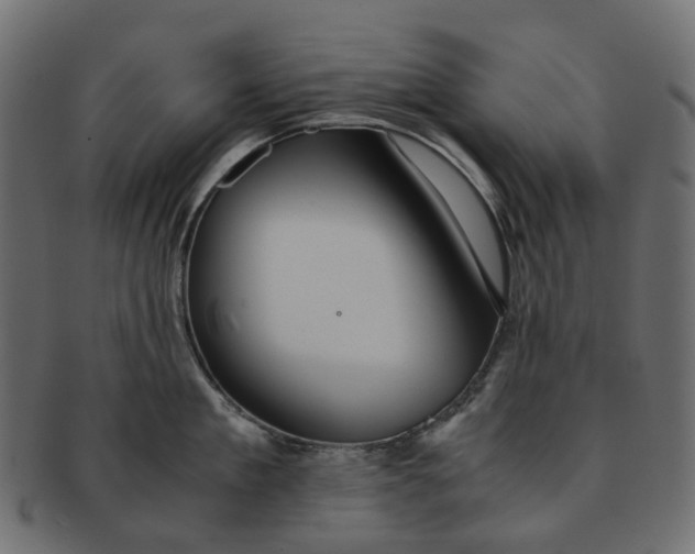 X0000091540909200709071101