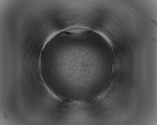 X0000091540910200709071101