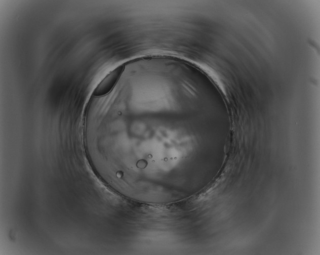 X0000091540911200709071101