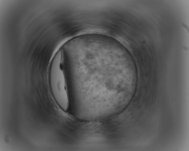 X0000091540912200709071101