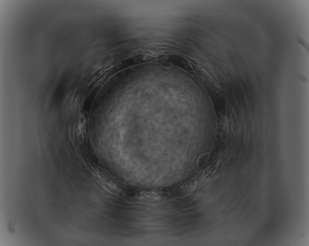 X0000091540914200709071100