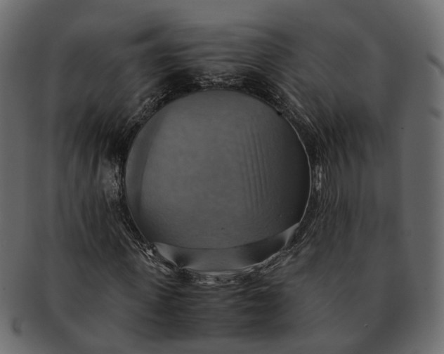 X0000091540915200709071101