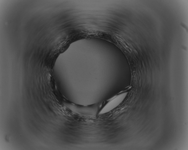 X0000091540916200709071101