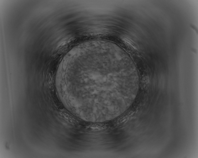 X0000091540917200709071101