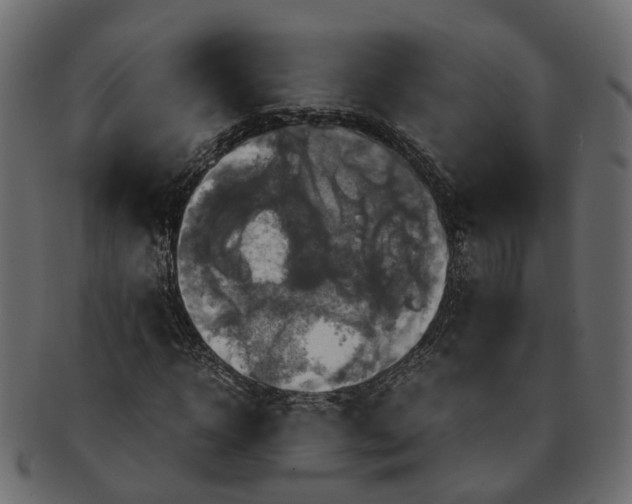 X0000091540918200709071101
