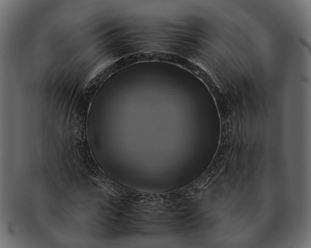 X0000091540919200709071101