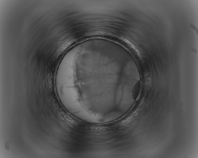 X0000091540921200709071101